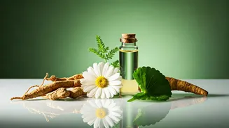 Why Modern Skincare Fans Embrace Korean Botanical Alternatives Enthusiastically