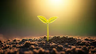 Related Stories banner