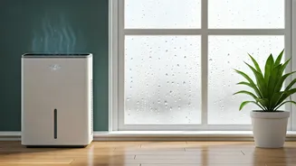 Moisture Control Tips That Really Work