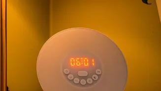 Boost Daily Focus: 10 Minutes Of Early Sunlight Resets Your Body Clock Naturally