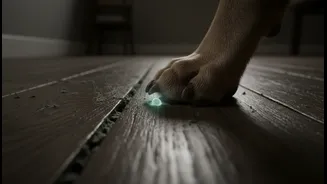 Why Humid Apartment Floors Extend Fungal Survival Rates Prompting Tighter Dog Paw Surveillance