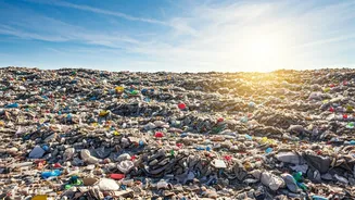 New Solid Waste Management Rules: A Shift in Responsibility