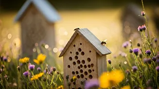 The Double-Edged Sword: Are Bee Hotels Truly Helping Native Pollinators?