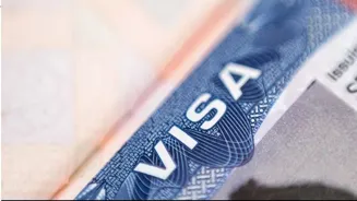 Texas freezes new H-1B visa petitions | How will it impact Indian professionals