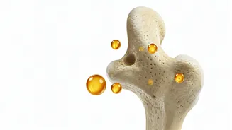 Calcium vs. Vitamin D: Your Guide to Strong Bones