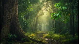 Delhi-NCR To Nature: Rainy Escapes You'll Love