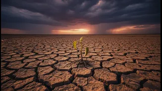Young Indians Need To Watch Climate Signals Before Food Prices Bite