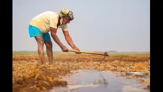 "I Am Alive, Not Dead": Karnataka Farmer’s Fight Against Bureaucratic Nightmare