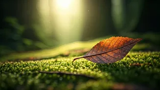Breathwork And Walking Make A Surprising Combo