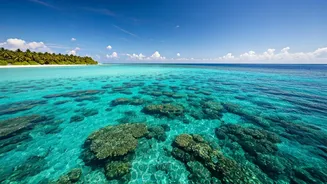 Tour Azure Pools And Marine Habitats In New Maldives