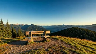 Hill Stations Feel Necessary, Not Just Nice