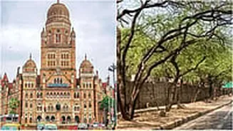 Mumbai Infra Update: 213 Trees To Be Felled For Delay-Hit Vidyavihar East–West Connector; BMC Plans 2,278 Compensatory Plantations