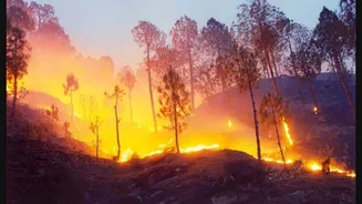 Forest fires ravage Uttarakhand; flames spread across Kedarnath, Nainital hills