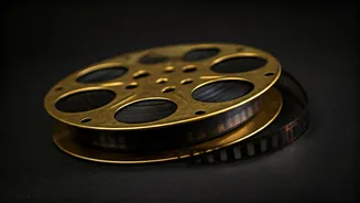 Bollywood Box Office Buzz: Reviews & Collections