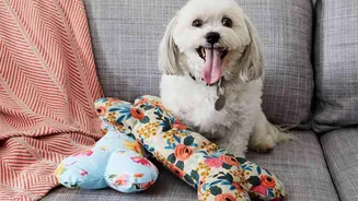 5 breathable fabrics to help you make comfortable dog accessories