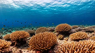 9 Wonders of the World: Explore Breathtaking Landmarks!