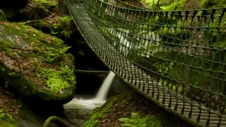 Explore Living Root Bridges And Sohra Waterfalls In Meghalaya Before Winter