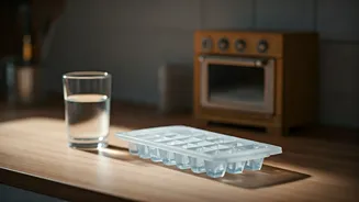 Viral 'Water Recipe' Reel: From Freezer to Oven, a Hilarious H₂O Masterclass