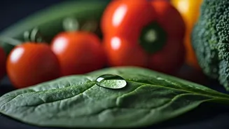 Healthy Veg Nutrition Habits Worth Starting This Week
