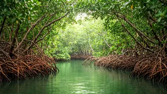Sustainable Travel Could Help Balance India’s Tourism Growth With Local Environmental Needs