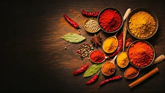 10 Destinations for Your 2026 Indian Adventure!