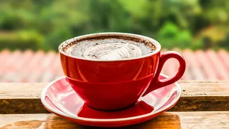 Coffee Estate Holidays Blend Fresh Air, Scenic Views And Affordable Stays