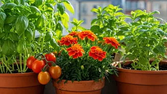 Urban Gardening Guides Prove Anyone Can Grow Clean Pesticide Free