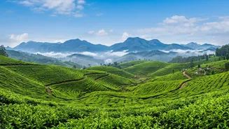 Indian Hill Stations After Monsoon: What September Travellers Should Watch