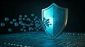 Website Security: Understanding Bot Protection and Verification Processes