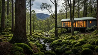 Related Stories banner