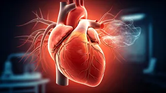 Beyond Diet & Exercise: Unraveling Hidden Causes of High Blood Pressure