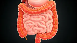 6 Gut-Wrecking Foods: Hidden Culprits!