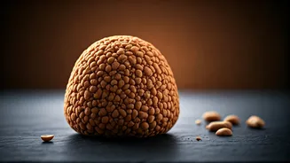 Paçoca: Unveiling the Delightful Peanut Confection of Brazil