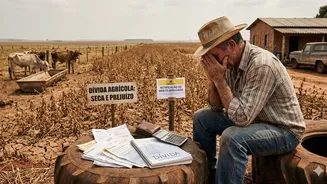 Senado aprova renegociação de dívidas rurais, mas falta de política robusta de seguro mantém produtores em ciclo de endividamento