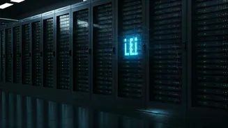 Simplifying LEI Management: Automation's Role in Business Compliance