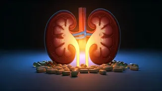 Beyond Sunshine: Risks of Long-Term High-Dose Vitamin D Supplementation in India