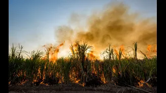 Asia-Pacific Climate Risks Could Cost Firms $336 Billion Annually by 2030s