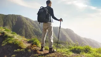 Nordic Walking's Everyday Fitness Shift Makes Upper-Body Movement A Practical Priority