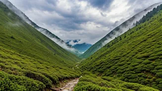 Misty Landscapes Are Redefining North India Travel