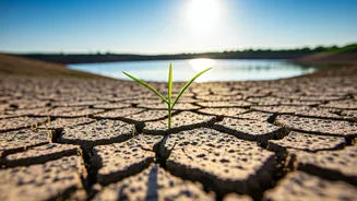 Maharashtra's Water Woes: Higher Reservoir Levels Amidst Growing Summer Strain