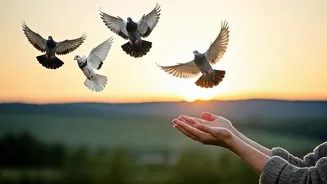 Finding Inner Peace: Letting Go of Control in Relationships