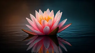 The Fire Beneath Stillness: A Poetic Journey to Inner Healing