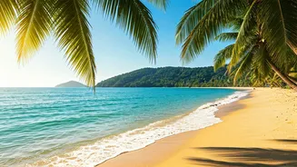 Search Data Shows Sudden Wave Of Last-Minute Vietnam Beach Trips