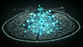 AI in Indian Mental Health: Bridging Gaps and Augmenting Care, Experts Say