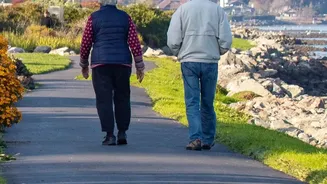 Taking quick post lunch strolls stabilizes glucose levels and stops mid afternoon fatigue cycles