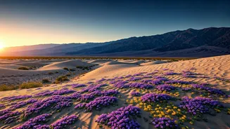 Related Stories banner