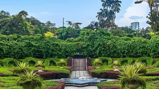 Urban Indian Gardens Are Moving Towards Plants That Need Less Daily Intervention