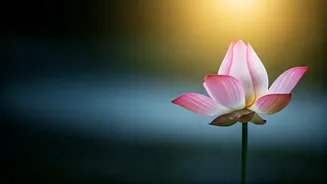 The Real Power Of Yoga Goes Beyond Poses