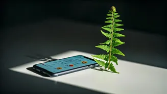 Gen Z's Post-Breakup Playbook: Navigating Love's Aftermath in 2026 with New Etiquette