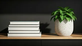 Conquer Clutter: Professional Organizers' Top Strategies for Getting Started